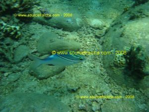 IMG_0213.jpg IMG_0213.jpg